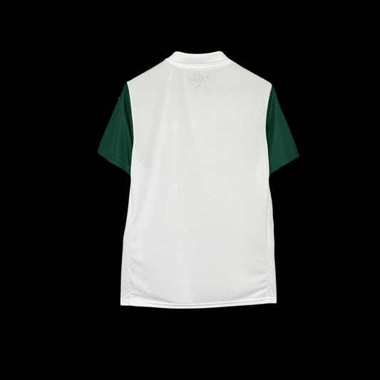 Modelo torcedor - Palmeiras uniforme 2- 25/26