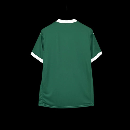 Modelo torcedor - Palmeiras uniforme 1- 25/26