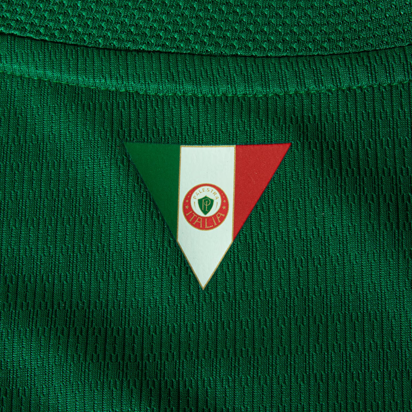 Modelo Jogador - Palmeiras uniforme 1 - 2026
