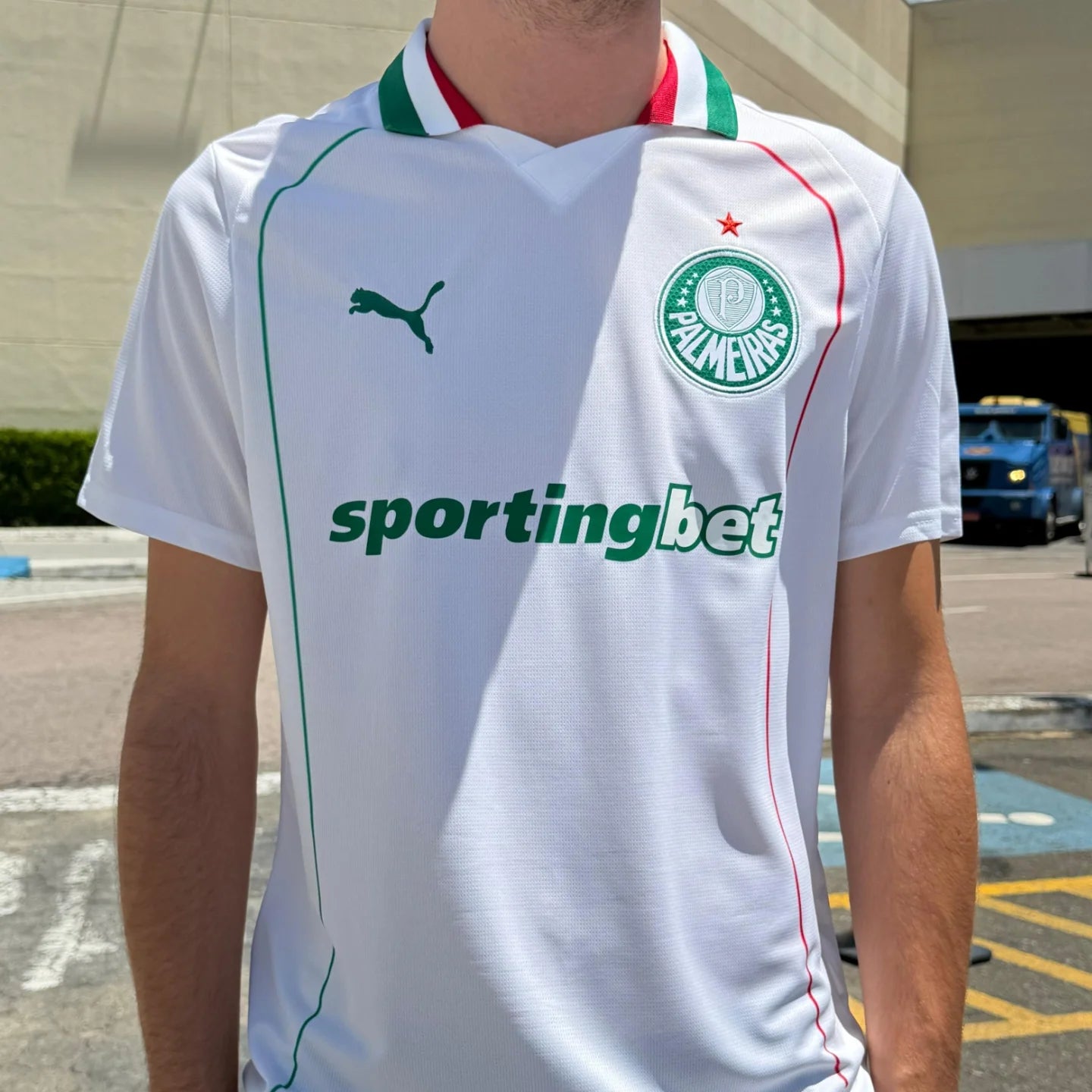 Modelo Torcedor - Palmeiras uniforme 2 - 2026