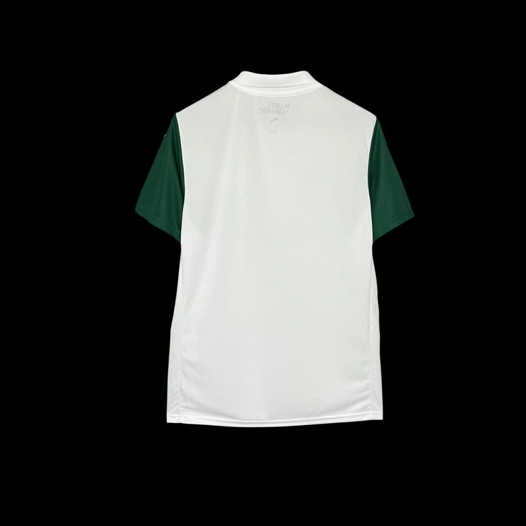 Modelo torcedor - Palmeiras uniforme 2- 25/26