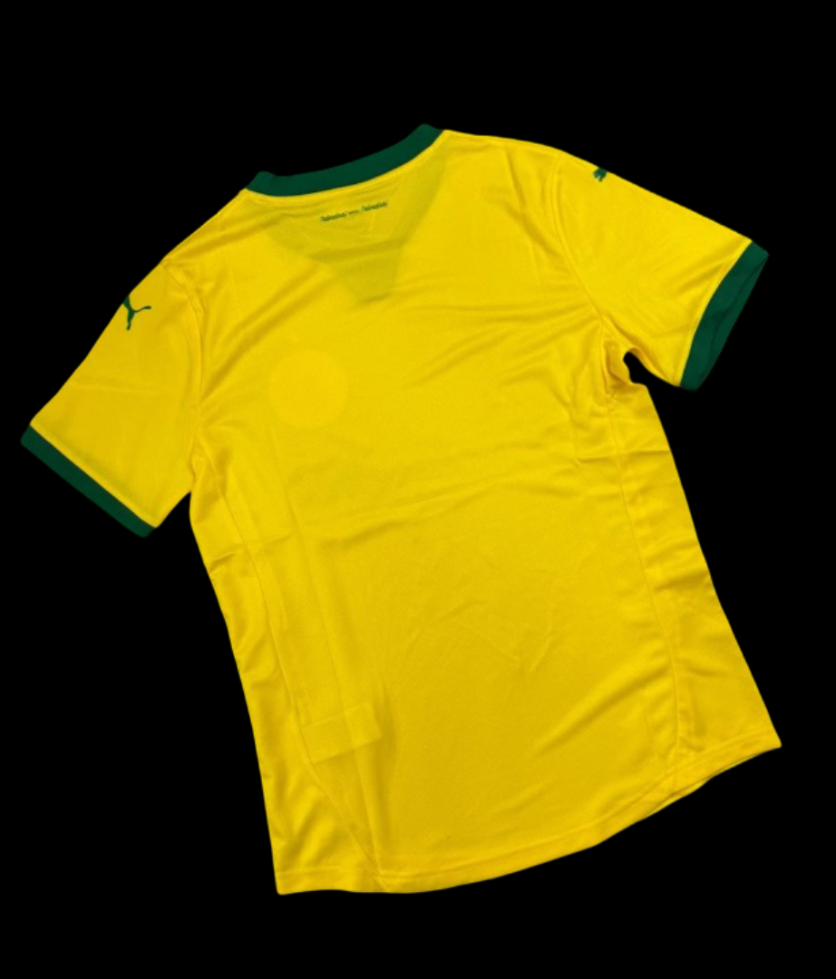 Modelo Jogador - Palmeiras amarela - 25/26